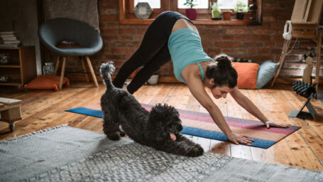 Young woman practicing downward facing dog pose playing with her pet in the living room